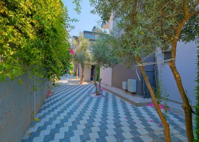 Villa Alisen 2 Fethiye