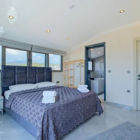 Alisen 2 * Φετιγιέ